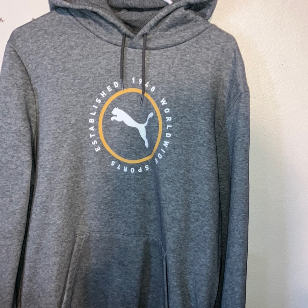 Puma Gray Hoodie with Iconicβ Logo